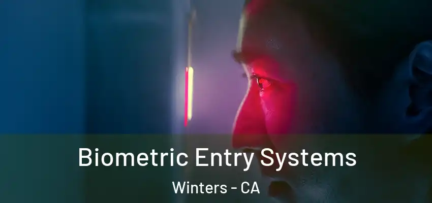  Biometric Entry Systems Winters - CA
