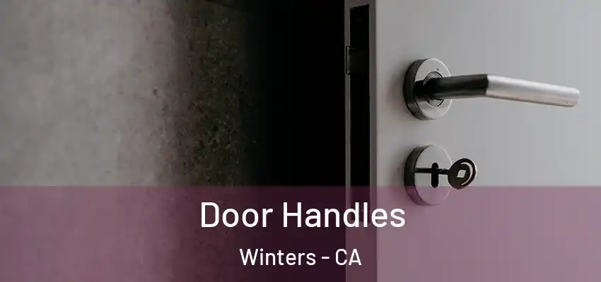  Door Handles Winters - CA