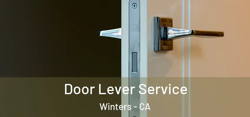  Door Lever Service Winters - CA