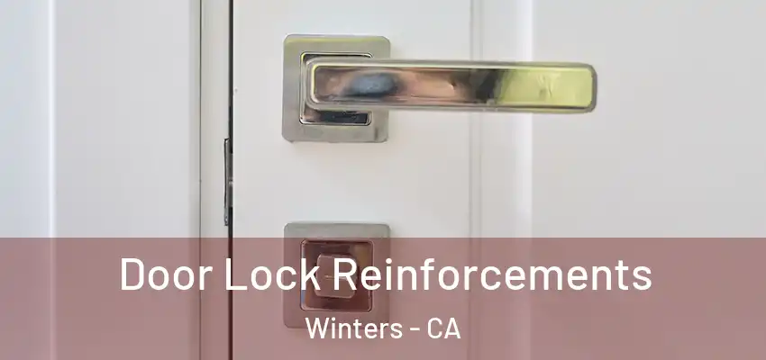  Door Lock Reinforcements Winters - CA