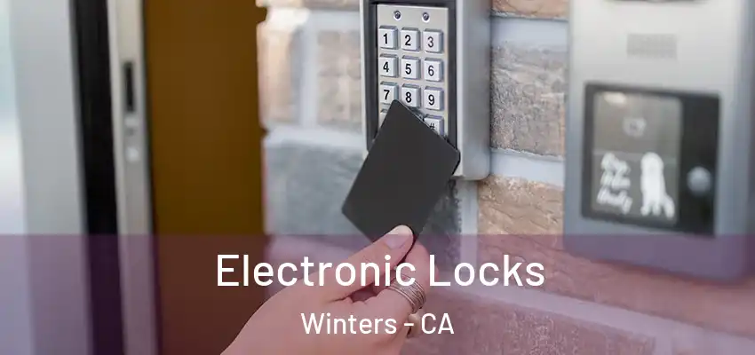  Electronic Locks Winters - CA
