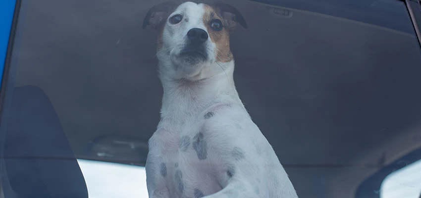 Car Lockout Solutions in Winters, California