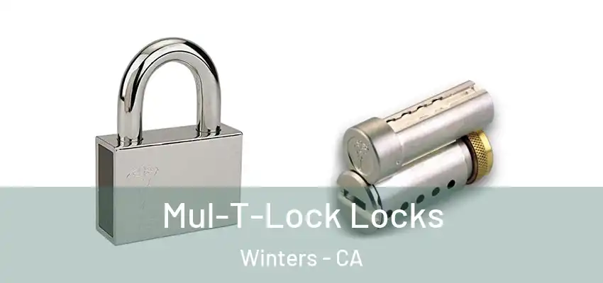  Mul-T-Lock Locks Winters - CA