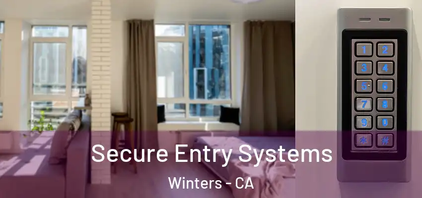  Secure Entry Systems Winters - CA